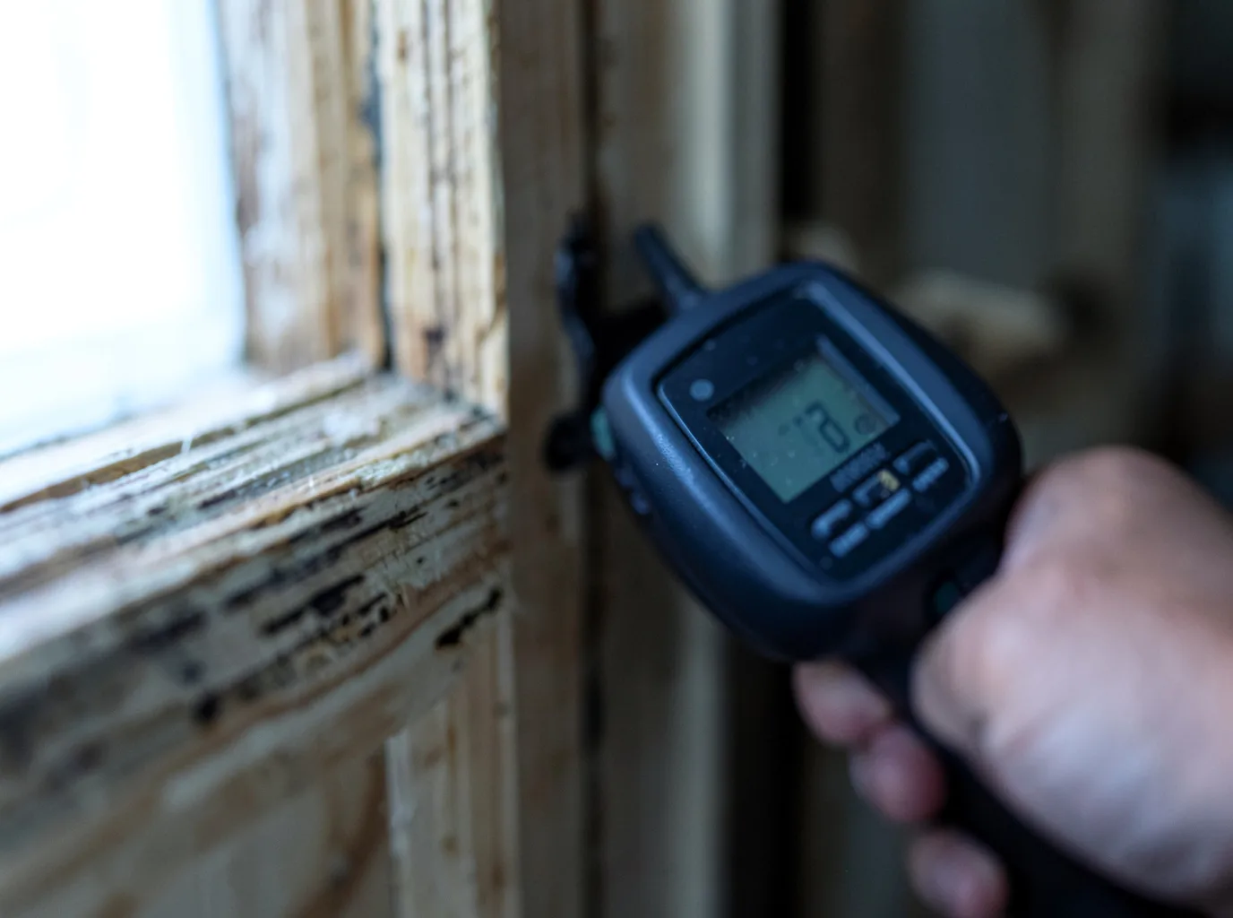 Moisture Inspection And Documentation in Bluford, IL